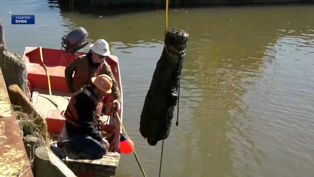Restored Revolutionary War cannons found in Savannah River are set to return to the Hostess City