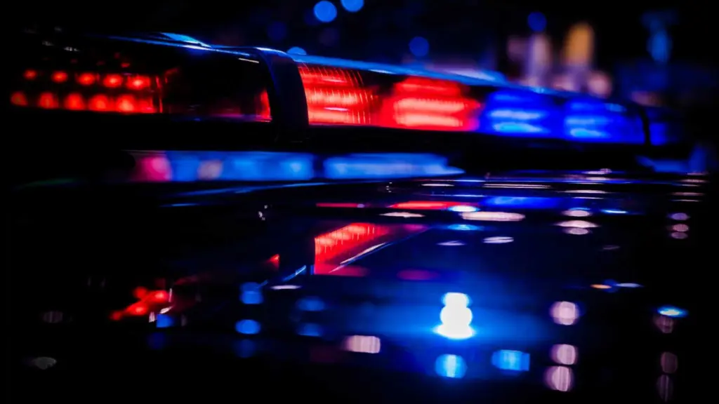 Multi-vehicle crash shuts down I-95