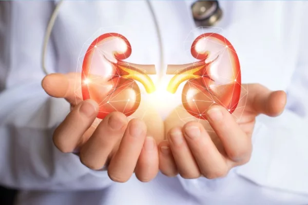 kidney-health_598101971