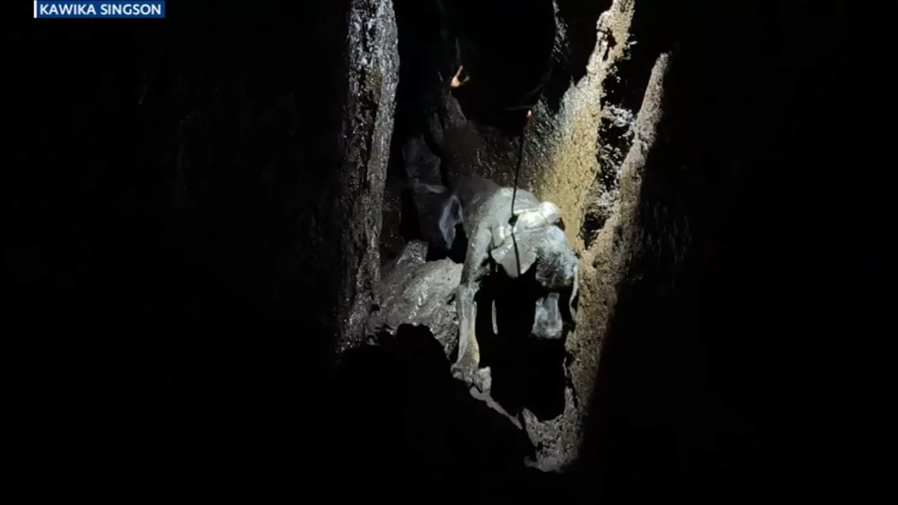 screenshot-2024-06-14-at-11-11-33-pm-666d06c614221954331