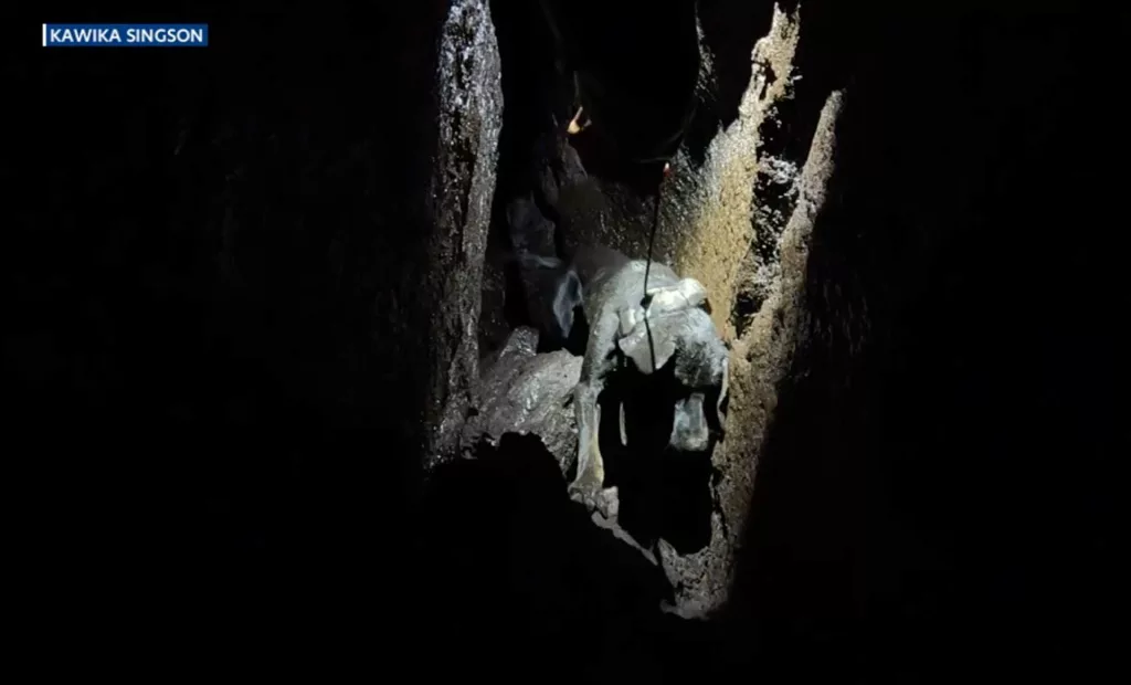 screenshot-2024-06-14-at-11-11-33-pm-666d06c614221954331