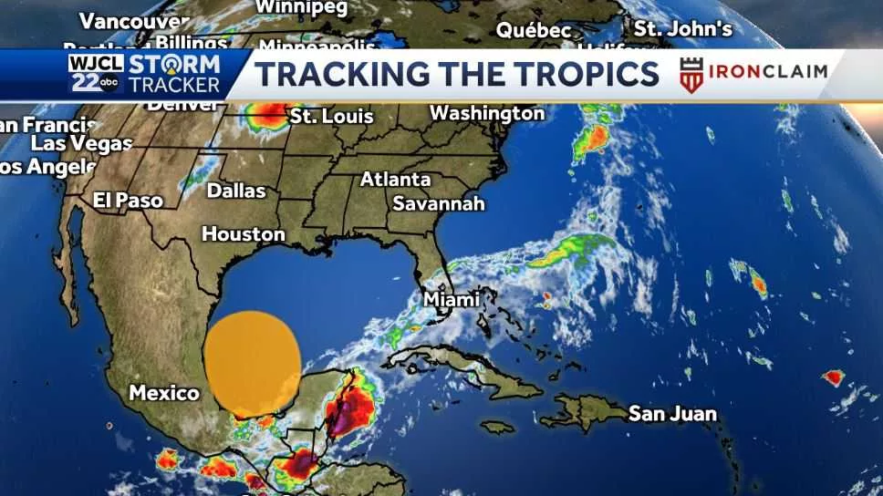 tropical-jpg-666d8a797e05f506245