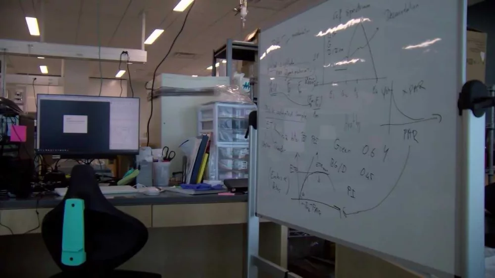 b13255e1-62a2-4971-bdd0-321775b8727b45690