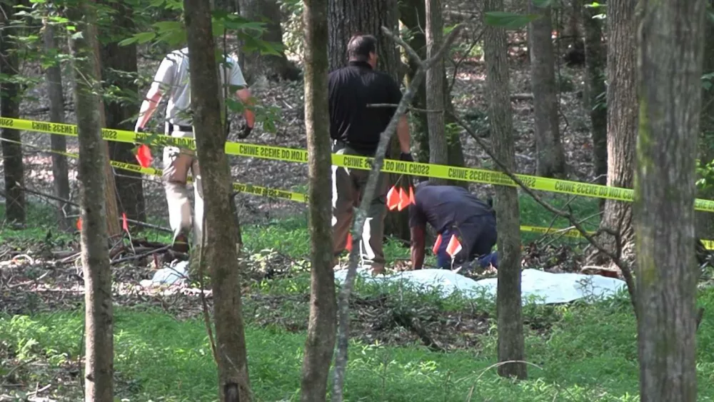 human-remains-66795ec11f9b0133061