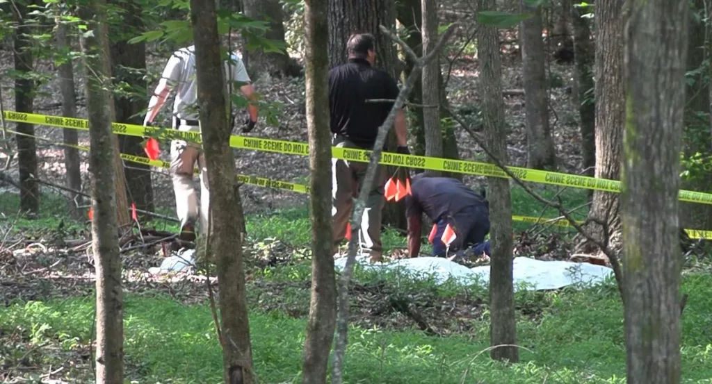 human-remains-66795ec11f9b0133061