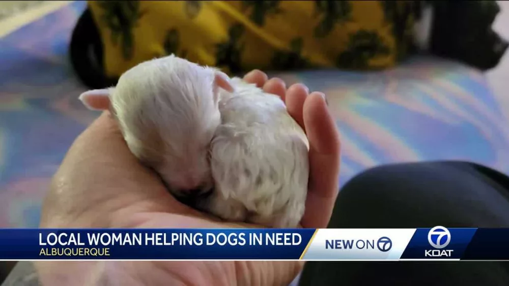 95a01a57-1246-4400-b680-625930f3fa4e400430