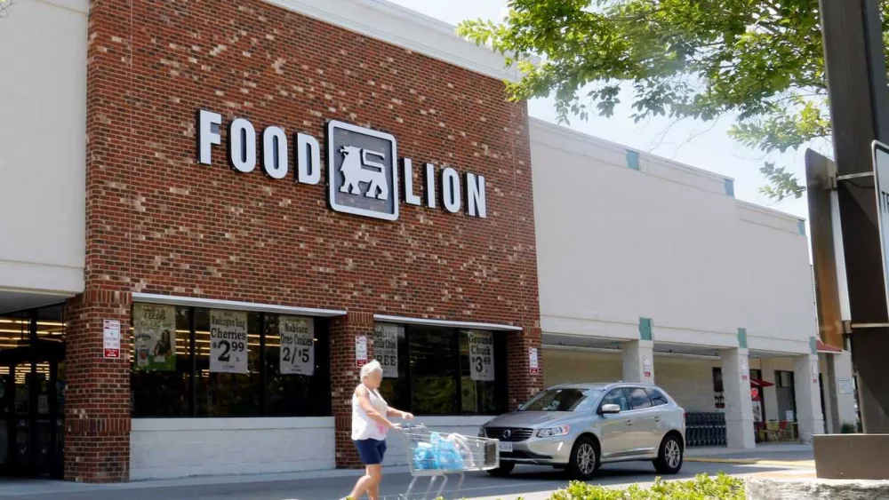 food-lion-1605123945145678