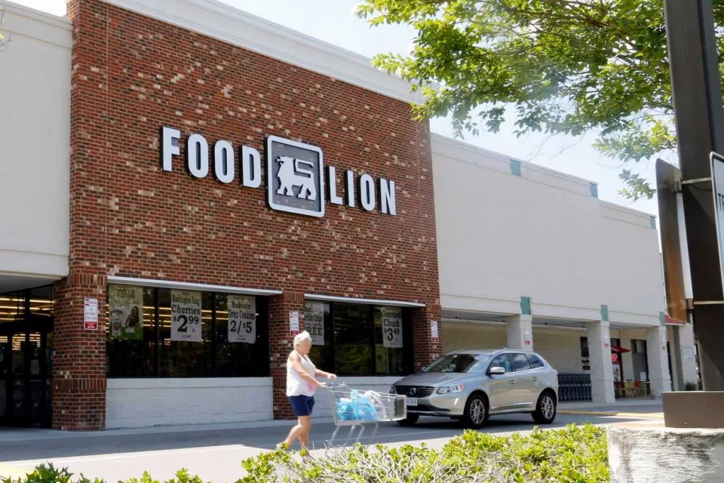 food-lion-1605123945145678