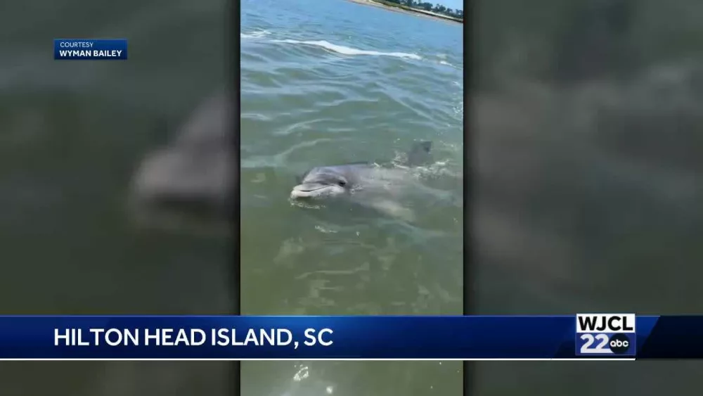 12d9cd20-caea-43c3-a905-c20403058924140531