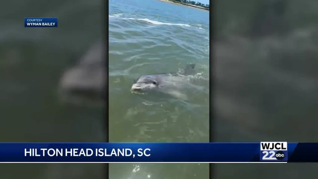 12d9cd20-caea-43c3-a905-c20403058924140531