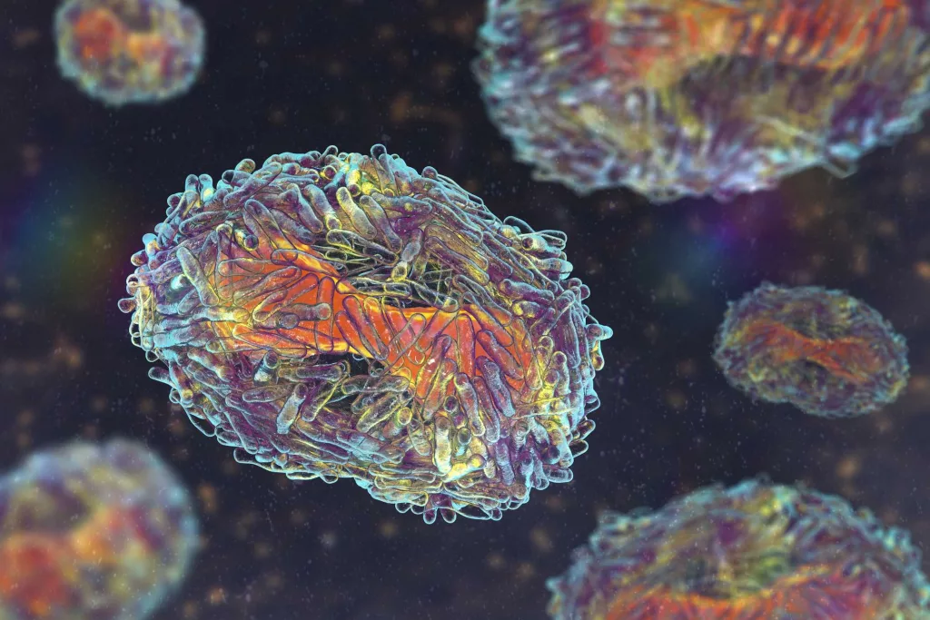 monkeypox-virus-particles-illustration-royalty-free-illustration-172373570876214