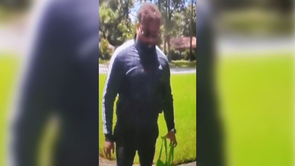 suspected-porch-pirate-66f3295cdc1b0781328
