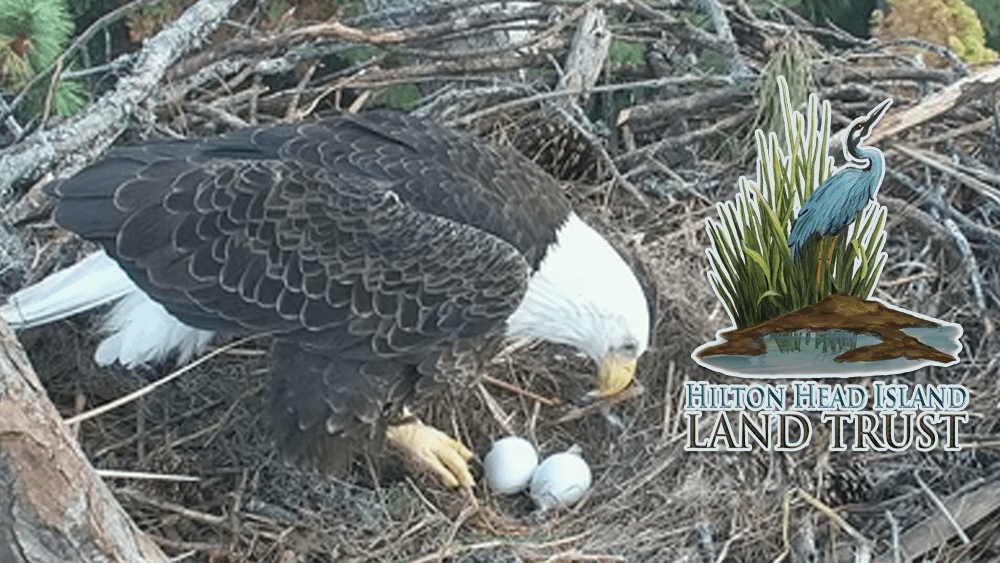 Hilton Head Island Land Trust