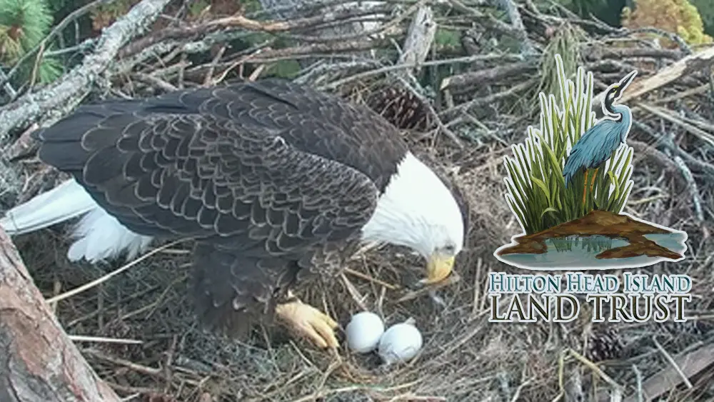 Hilton Head Island Land Trust