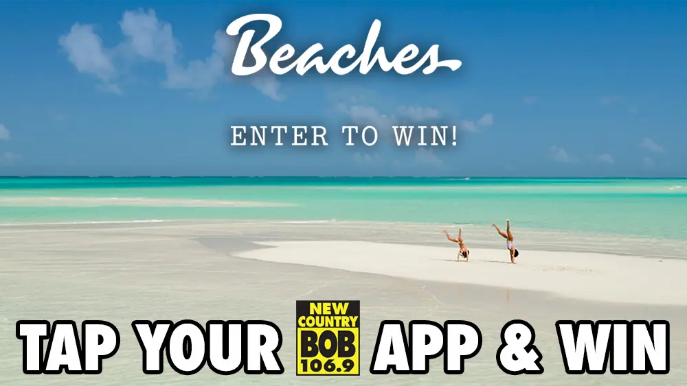 wubb_btc26_1000x563_slider