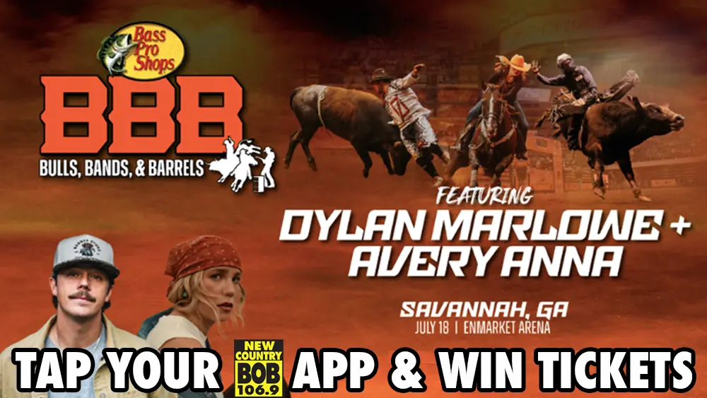 Bulls, Bands and Bands 2026