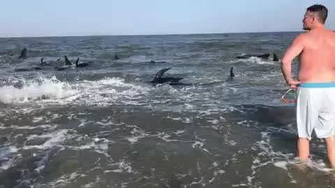 thumb_480x270_00001_1563358935_7855610520