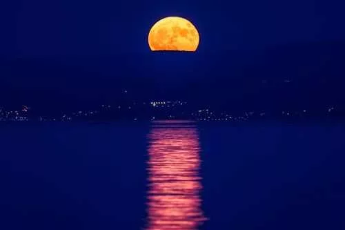 cnn-l19jb21wb25lbnrzl2ltywdll2luc3rhbmnlcy9jbhlzdnbsb2owmda1m2i1dju0ntnvoxls-l19jb21wb25lbnrzl2fydgljbguvaw5zdgfuy2vzl2nsexn2bta2djawmg5iam8yohowdji2ngw-preview-1721428211791872914221851