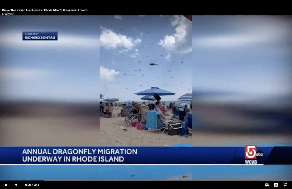 screenshot-2024-07-28-at-8-50-22-am-66a668ce554f0404555