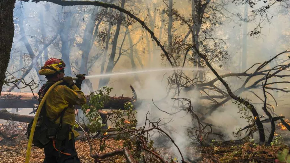 wildfire-66a8788427b60845814