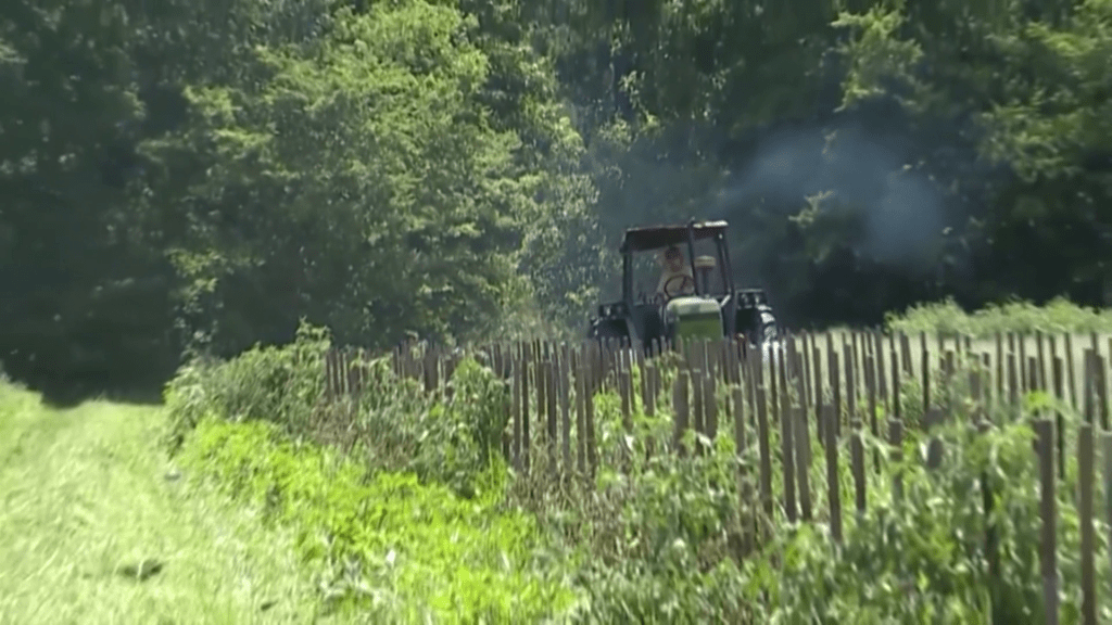 vlcsnap-2024-07-31-18h20m13s098-66aab8a736e08585341