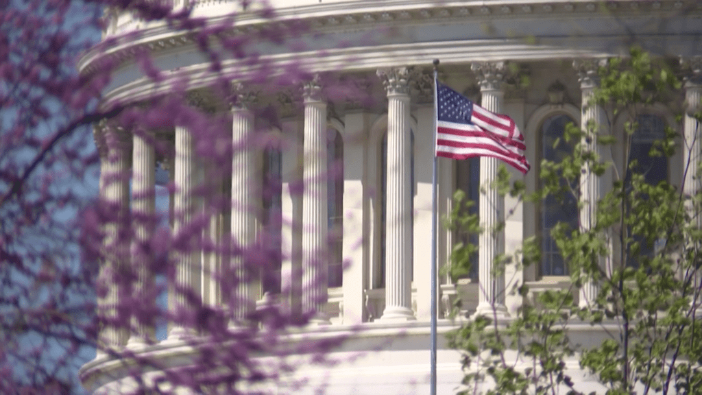 vlcsnap-2024-08-01-16h13m24s902-66abec7b7639d222203