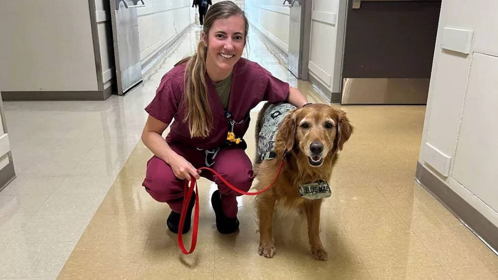 cnn-l19jb21wb25lbnrzl2ltywdll2luc3rhbmnlcy9jbhphngk2a3awmdezm2i2a3fkmg5nytgz-l19jb21wb25lbnrzl2fydgljbguvaw5zdgfuy2vzl2nseme0y2hjmjawmg42nhfmohj0mtlhz2w-jpg-66ac37f413d38908324