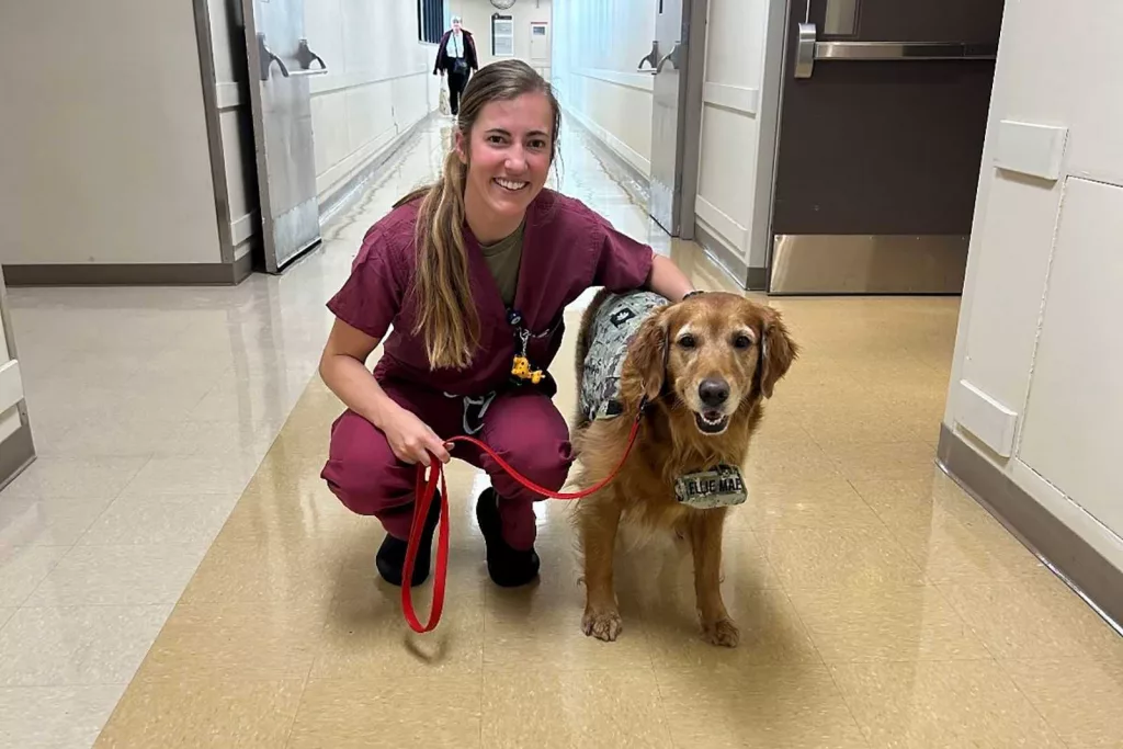 cnn-l19jb21wb25lbnrzl2ltywdll2luc3rhbmnlcy9jbhphngk2a3awmdezm2i2a3fkmg5nytgz-l19jb21wb25lbnrzl2fydgljbguvaw5zdgfuy2vzl2nseme0y2hjmjawmg42nhfmohj0mtlhz2w-jpg-66ac37f413d38908324