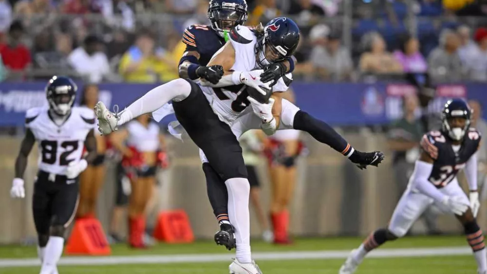 bears-66ac63e5b4fed605215