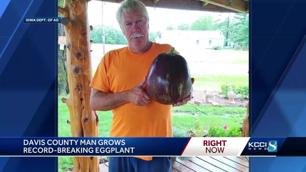 60740054-441a-4f07-8d87-87bc91a520f4463958