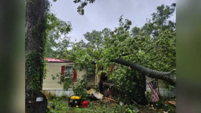 tree-down-teen-killed-66b0f13f11a1b462065