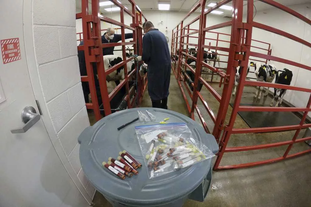 ap266c9478d72900169369