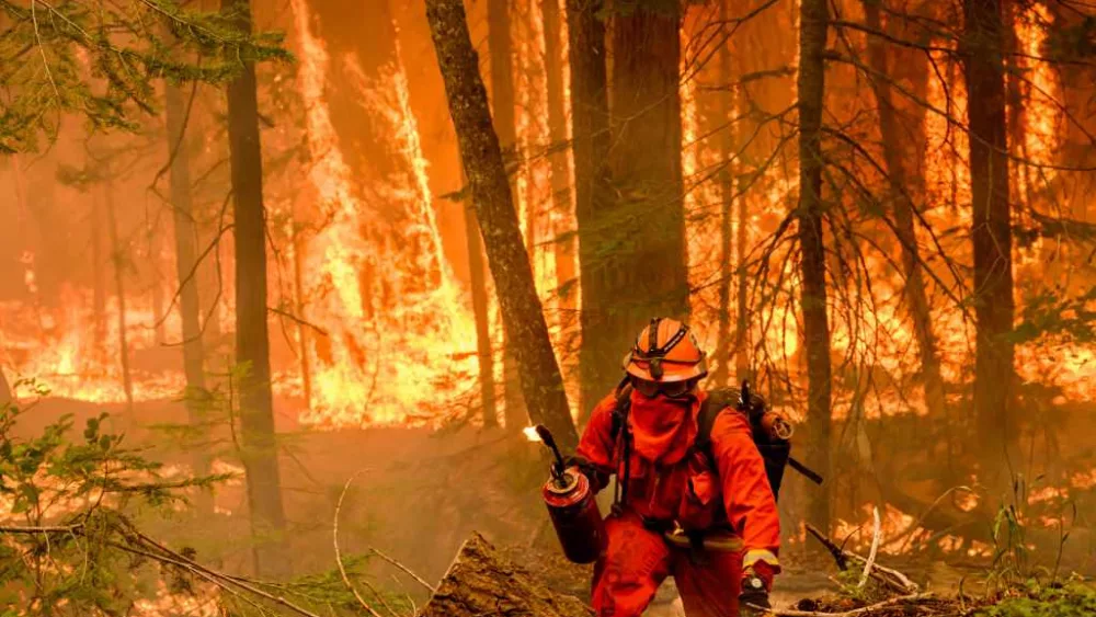 Huge California wildfire chews through timber in very hot and dry weather