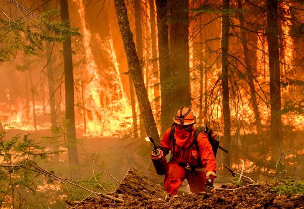 Huge California wildfire chews through timber in very hot and dry weather