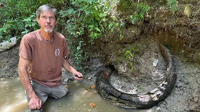 Ice age mammoth tusk unearthed in Mississippi