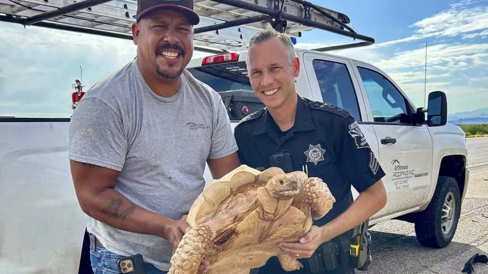 Large desert tortoise rescued from highway after escaping from an Arizona ostrich ranch