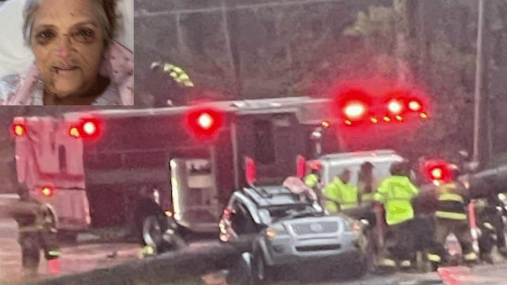 'That tree is falling...': Woman narrowly survives Statesboro crash during Tropical Storm Debby