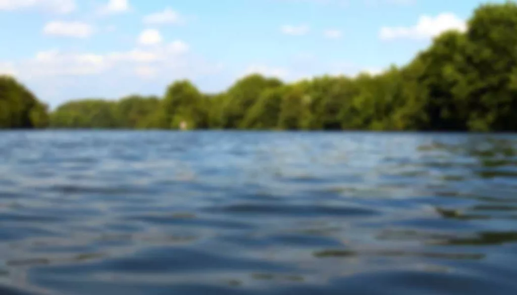 DNR: Body of missing kayaker recovered from South Carolina waters