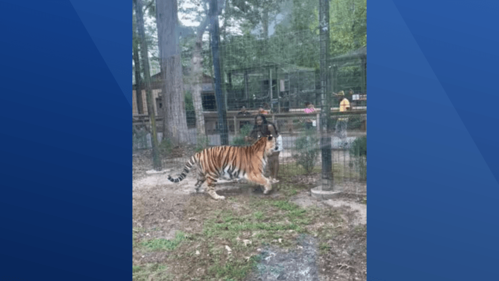 Watch: Videos you may have missed this week