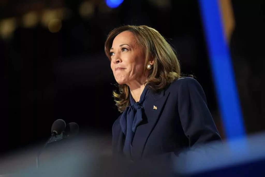 Harris' big moment, Dems' rising stars, Gaza protesters shut out: Takeaways from DNC's last night