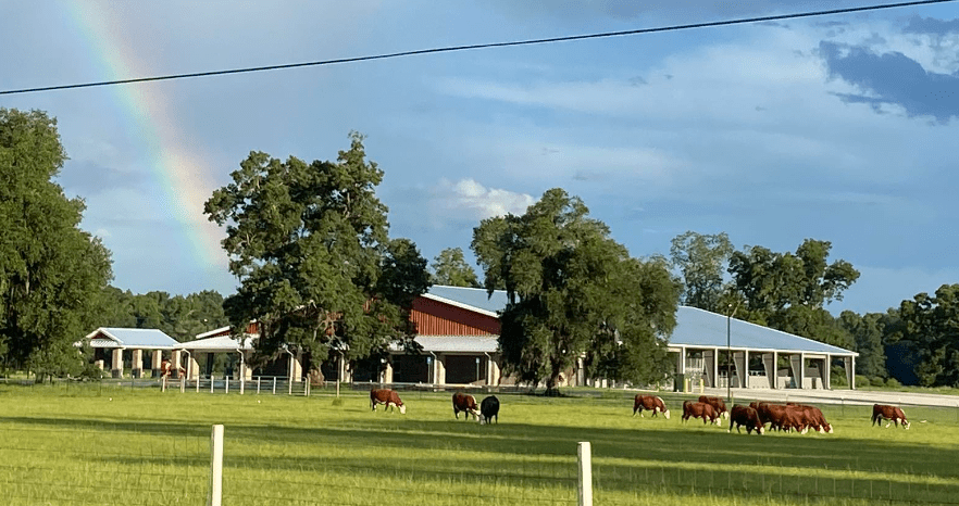 Honey Ridge Agricenter Arena opens in Effingham County