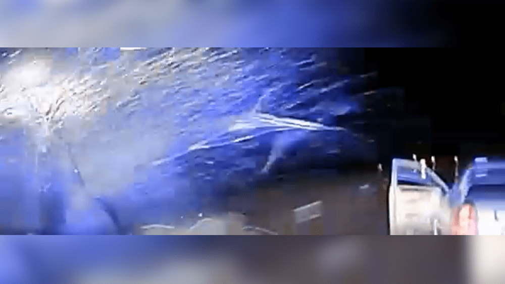 Wild Video: Police footage shows car striking Statesboro cop car during traffic stop