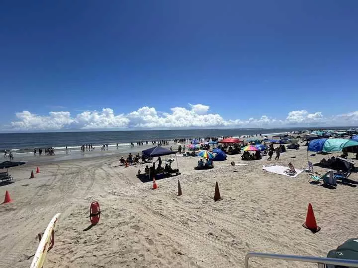 Tybee Island lifeguards clear water after shark sighting