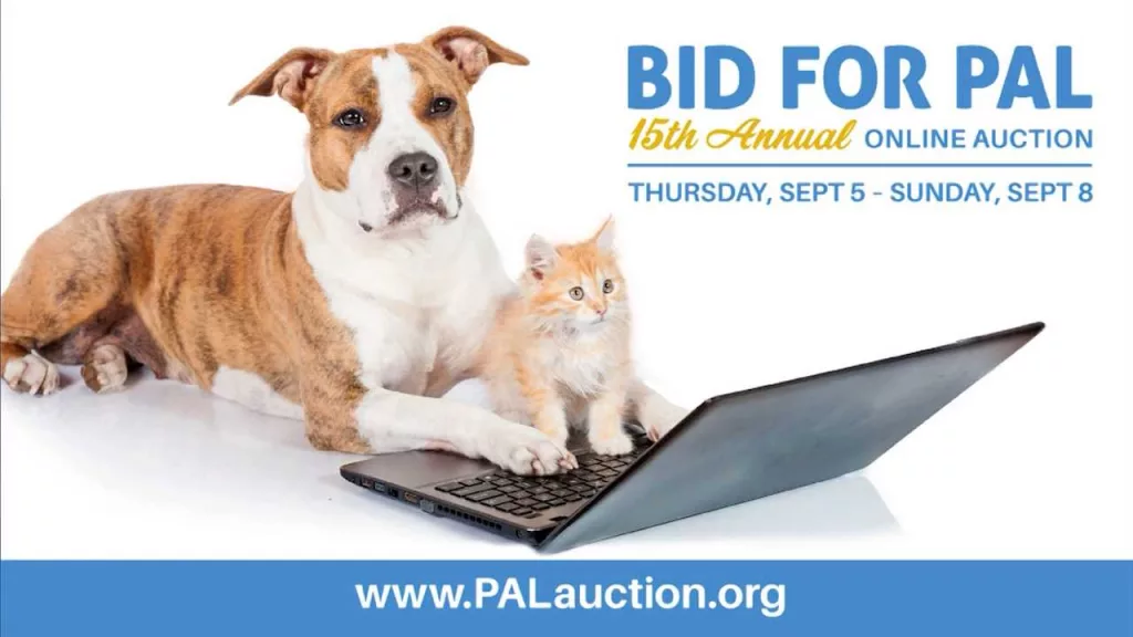 'They're going to find their home here': PAL online auction