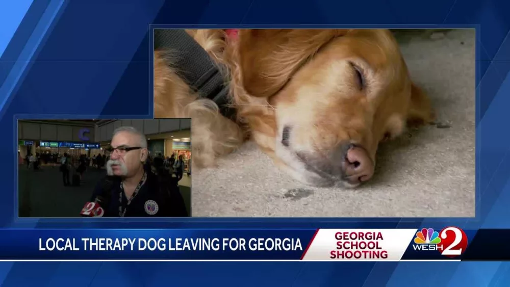 Meet the therapy dog heading to Georgia to comfort school shooting victims