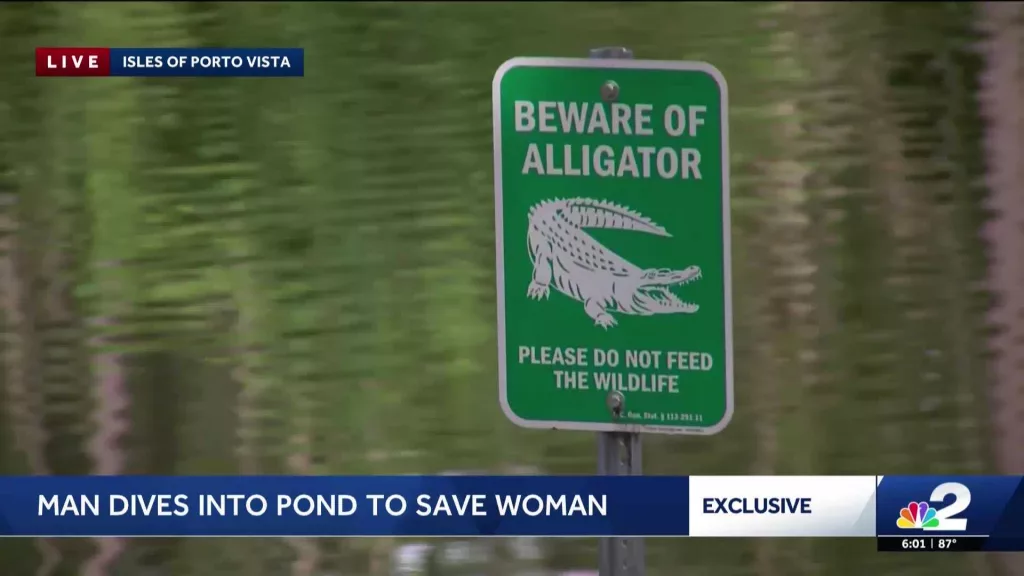 Heroic man dives into pond after woman's car submerges in Florida