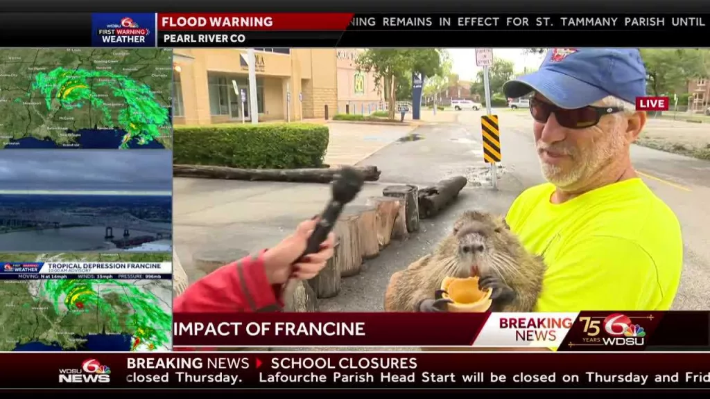 WATCH: Neuty the nutria first visitor at sno-ball stand after storms