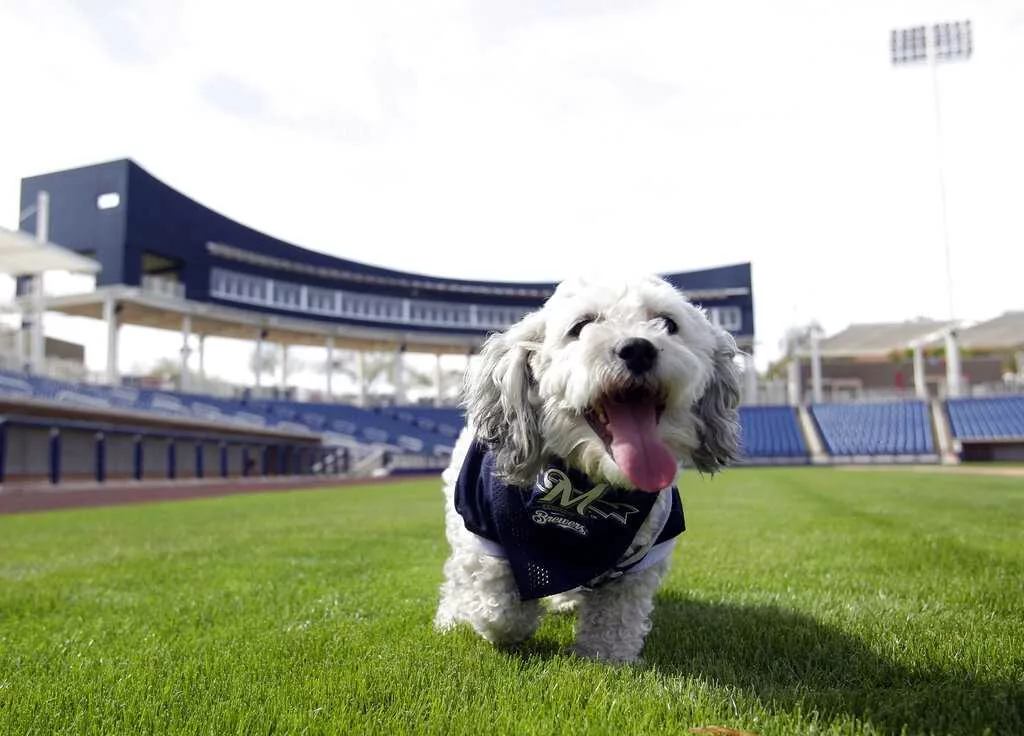 Hank 'The Ballpark Pup' has died