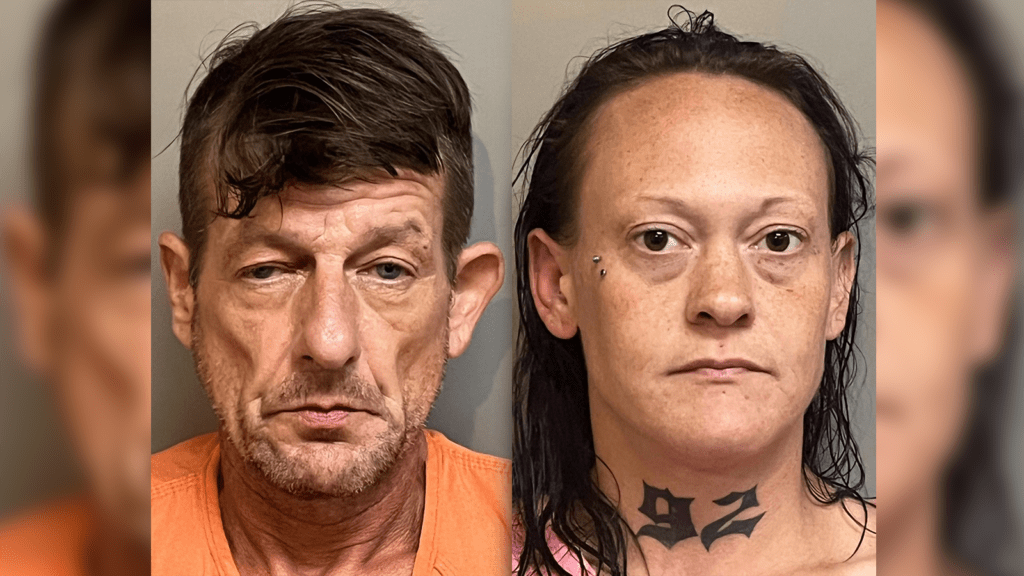 Deputies in South Carolina arrest pair for meth use, stolen goods in sheriff's office parking lot