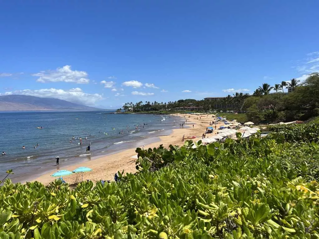 Pregnant mom, husband drown on Hawaii trip, leaving behind young child